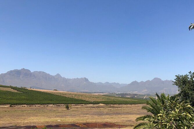 Vine Hopper: Hop-On Hop-Off Wine Tour - Northern Route - The Sum Up