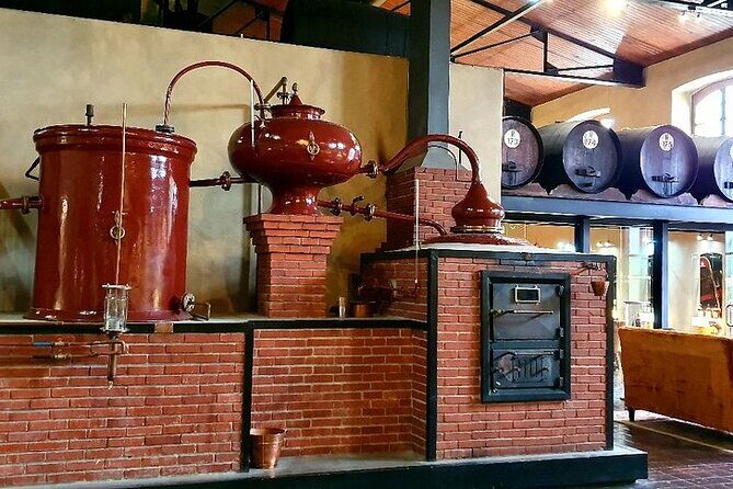 Vine Hopper: Hop-On Hop-Off Wine Tour - Southern Route - Key Points