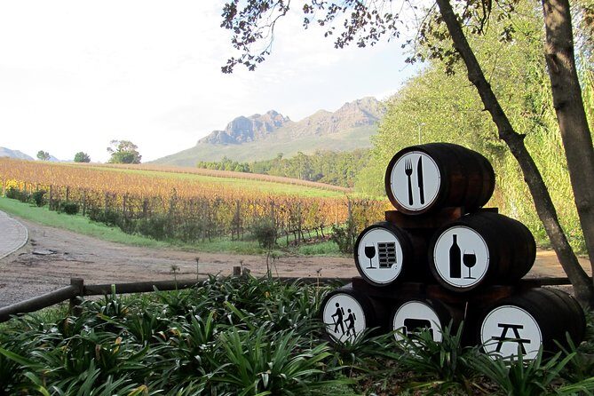 Vine Hopper: Hop-On Hop-Off Wine Tour - Southern Route - Final Thoughts