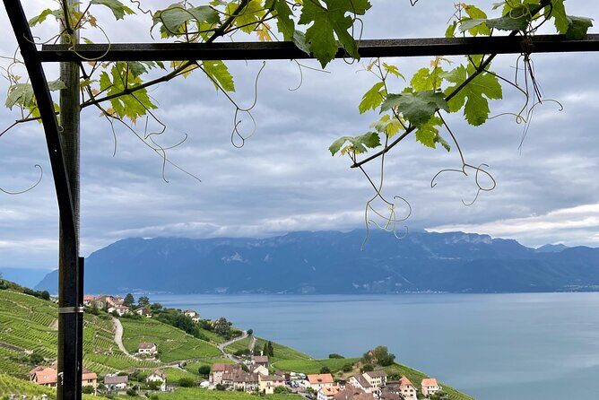 Vine Stories: Lavaux & Lutry wine walk - Exploring the Lavaux & Lutry Wine Walk in Detail