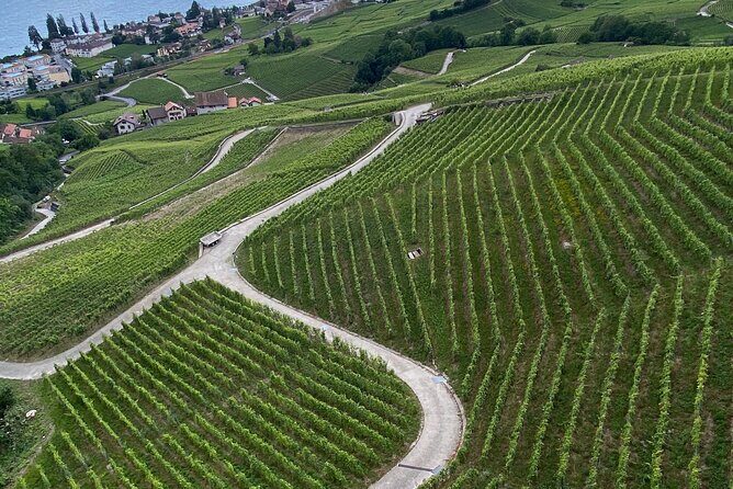 Vine Stories: Lavaux & Lutry wine walk - Final Thoughts