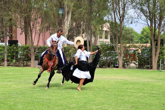 vineyard-buggy-tour-in-huacachina-1-day-tour-from-lima