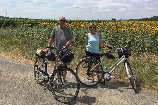 vineyard-cycle-tours-in-and-around-chinon-in-the-loire-valley-3