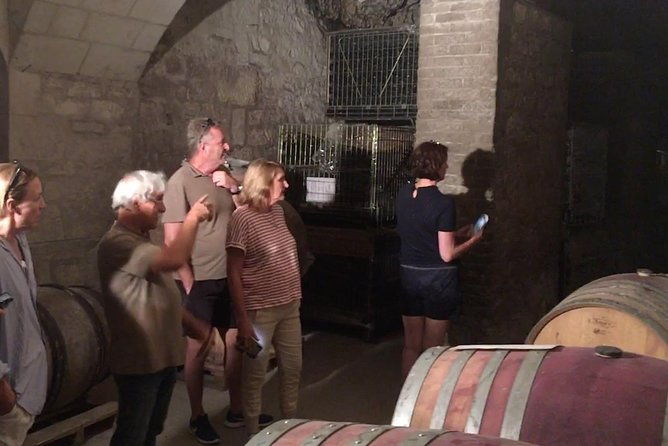 vineyard-cycle-tours-in-and-around-chinon-in-the-loire-valley-3