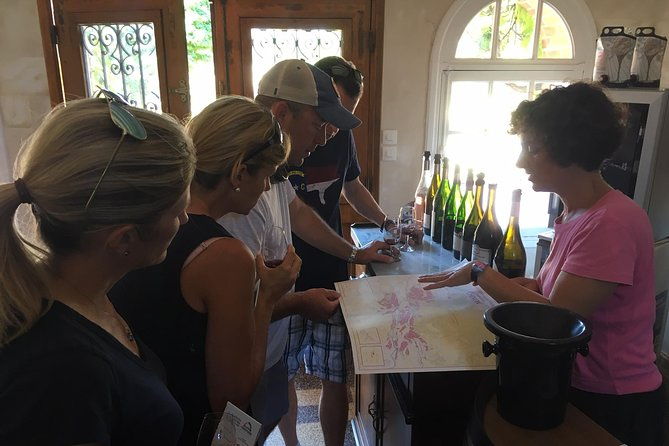 vineyard-cycle-tours-in-and-around-chinon-in-the-loire-valley-4