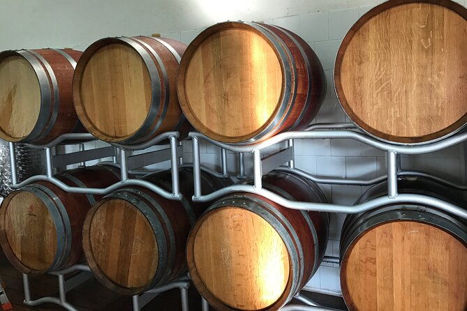 vineyard-experience-in-pozzuoli