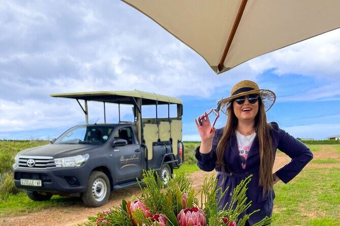 Vineyard Safari and Wine Tasting in Hermanus with Guide - The Sum Up