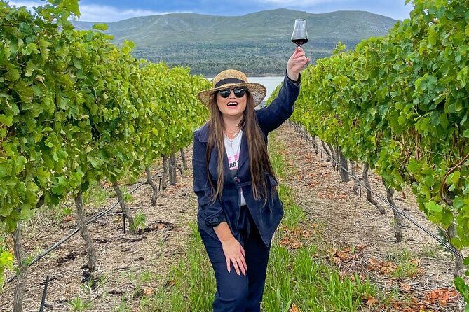 Vineyard Safari and Wine Tasting in Hermanus with Guide - FAQ