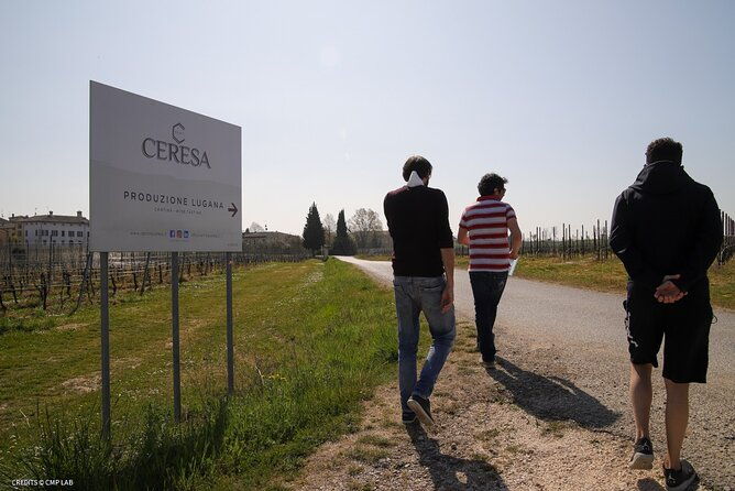 vineyard-tour-and-tasting-of-lugana-wines
