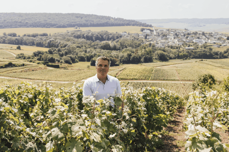 vineyard-tour-and-tasting-with-champagne-ludovic-david