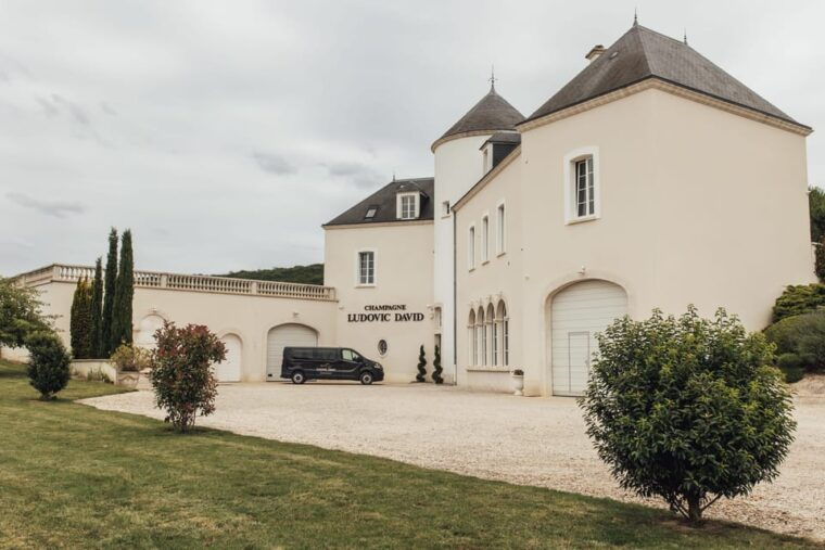 vineyard-tour-and-tasting-with-champagne-ludovic-david