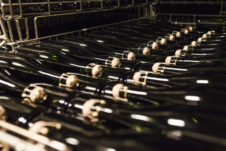 vineyard-tour-and-tasting-with-champagne-ludovic-david