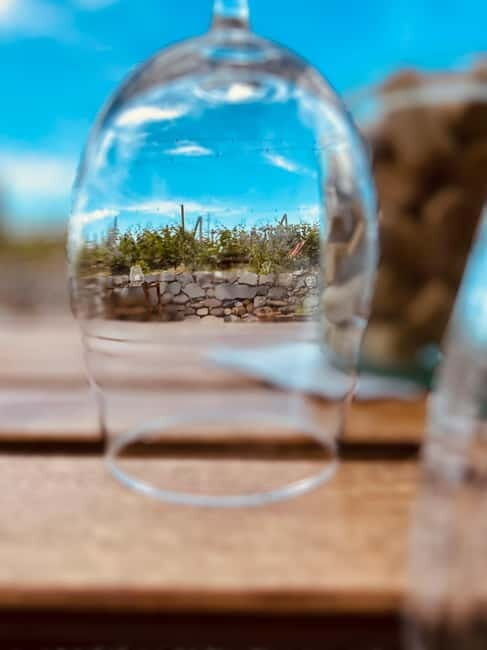 Vineyard Tour and Wine Tasting - What Is the Vineyard Tour and Wine Tasting?