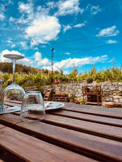 Vineyard Tour and Wine Tasting - Why This Tour Offers Great Value