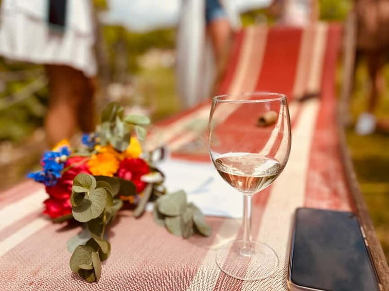 Vineyard Tour and Wine Tasting - Who Is This Tour Best For?