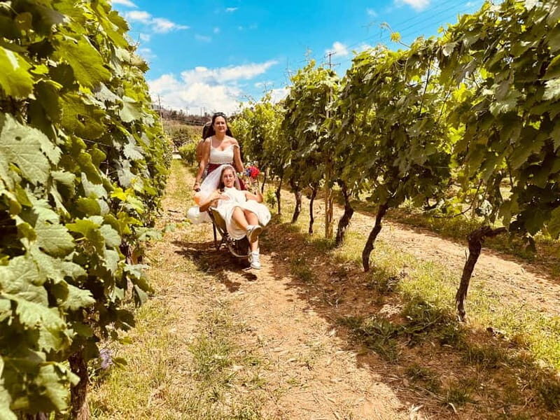 Vineyard Tour and Wine Tasting - Final Thoughts