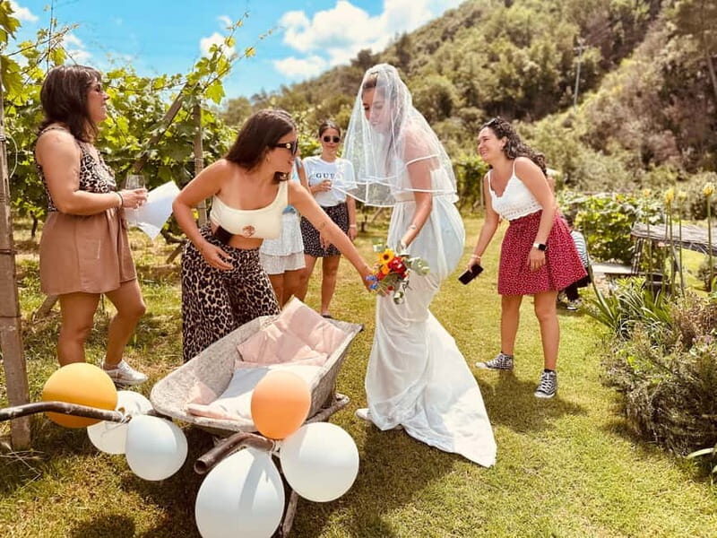 Vineyard Tour and Wine Tasting - In a nutshell: