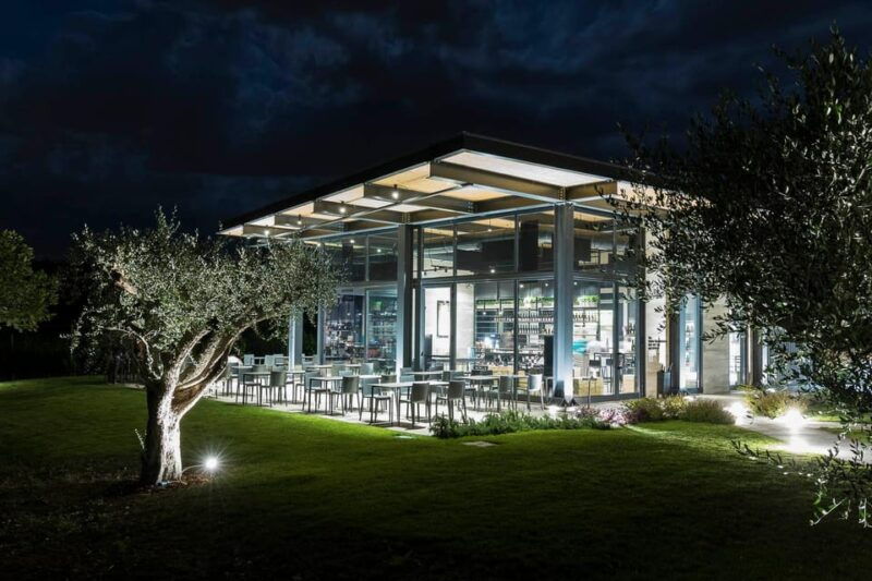 vineyard-tour-and-winery-visit-with-tasting-of-wines-of-romagna