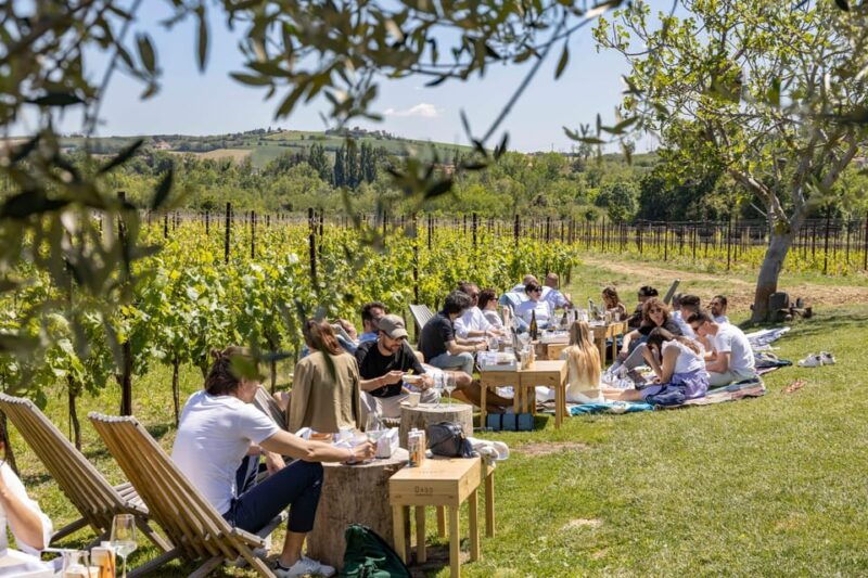 vineyard-tour-and-winery-visit-with-tasting-of-wines-of-romagna