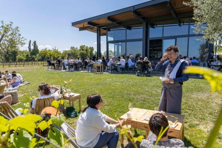 vineyard-tour-and-winery-visit-with-tasting-of-wines-of-romagna