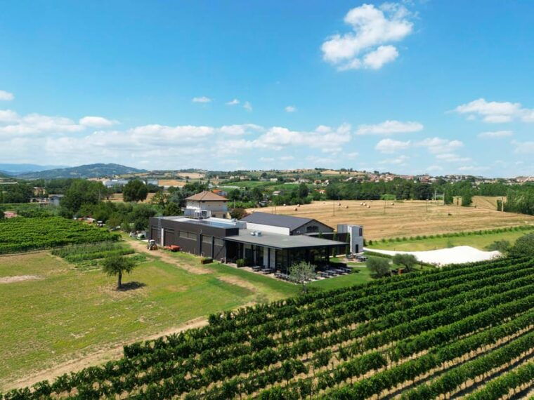 vineyard-tour-and-winery-visit-with-tasting-of-wines-of-romagna