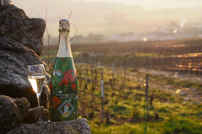 vineyard-tour-tasting-of-all-our-lineup