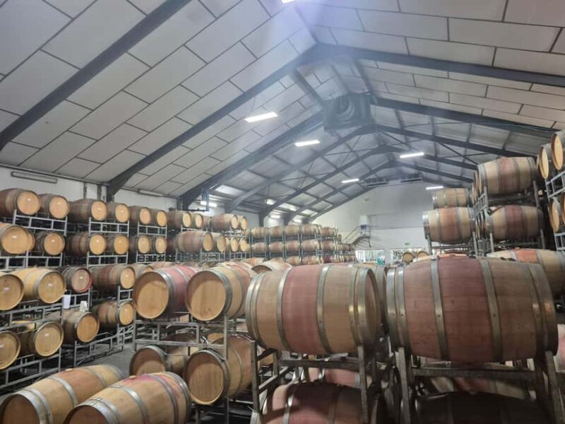 Vineyard Tour: Wine tasting, cheese and walking in Franschhoek - What’s Included & What to Consider