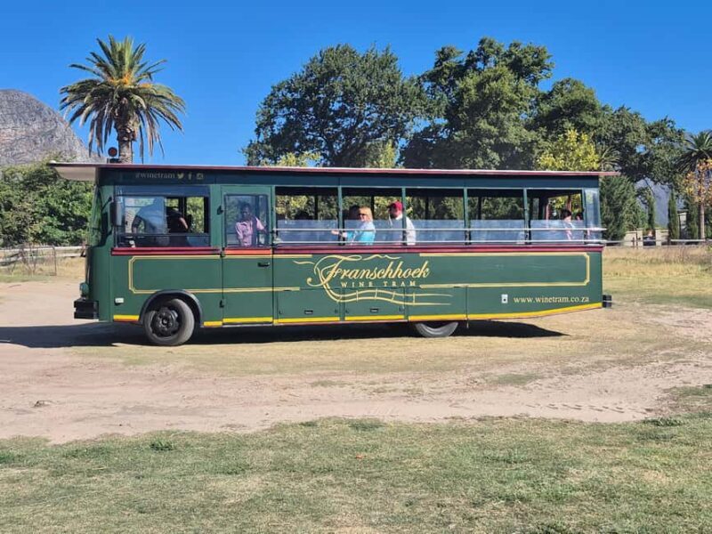 Vineyard Tour: Wine tasting, cheese and walking in Franschhoek - Who Will Love This Tour?