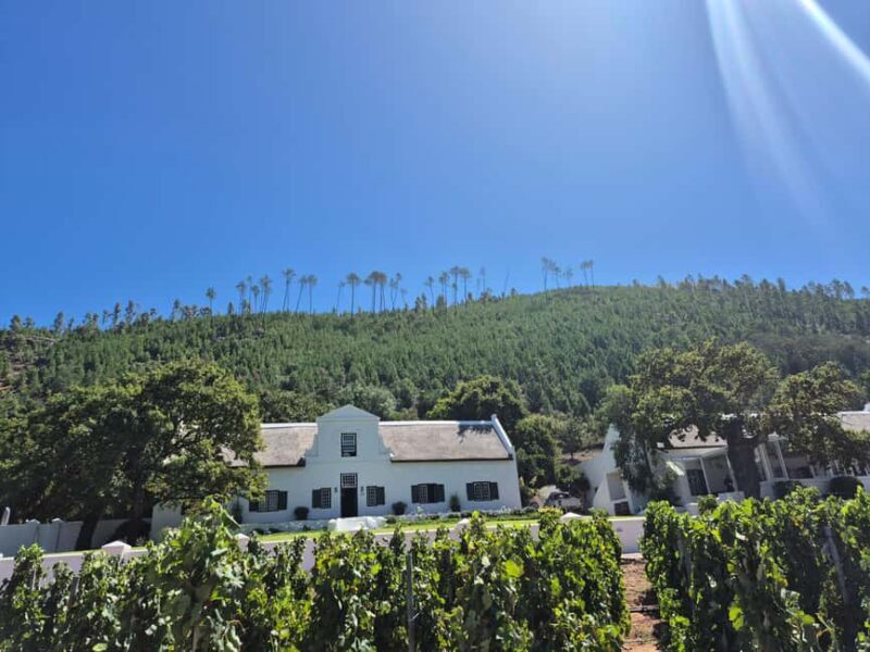Vineyard Tour: Wine tasting, cheese and walking in Franschhoek - FAQ