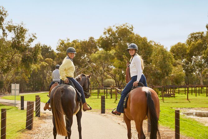 Vineyard Trail Ride and Taste at Jacobs Creek - Who Will Love This Tour?