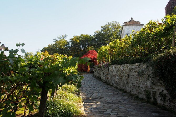 vineyard-visit-and-wine-tasting-in-clos-montmartre