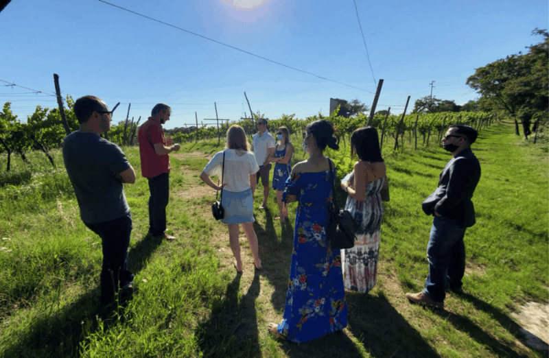vineyard-walk-wine-tasting-in-the-berici-hills-of-vicenza