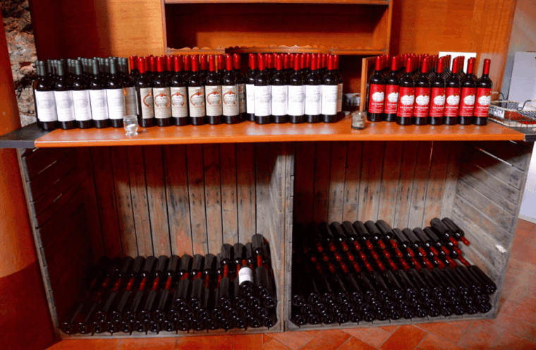 vineyard-walk-wine-tasting-in-the-berici-hills-of-vicenza