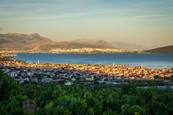 vineyard-wine-tasting-experience-with-a-sea-view-from-split