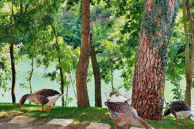 Vineyards, Albanian Wine Food Tasting Tour from Durres/Tirana - Who Will Love This Tour?  