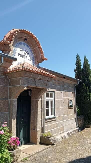 Vineyards and History of the City 6H - A Closer Look at the Tour Experience