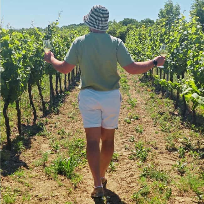 Vineyards & Castles : Czech Wine and Culture Tour - A Closer Look at the Itinerary