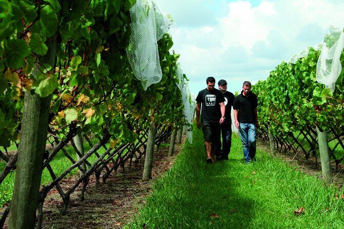Vineyards Honey and Black Sand Beaches from Auckland - FAQ