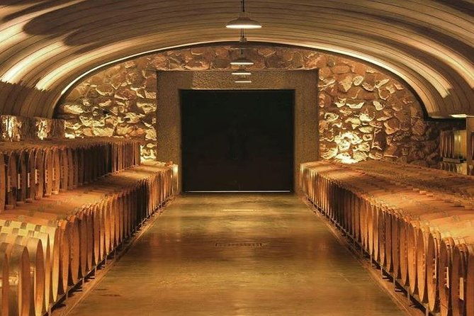 vineyards-with-wine-tasting-in-mendoza