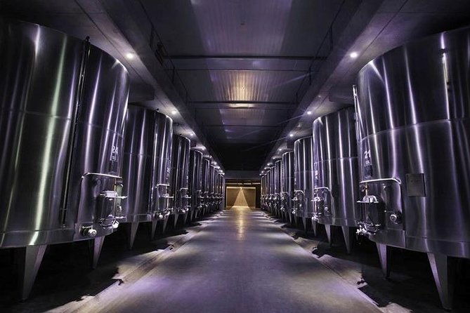 vineyards-with-wine-tasting-in-mendoza