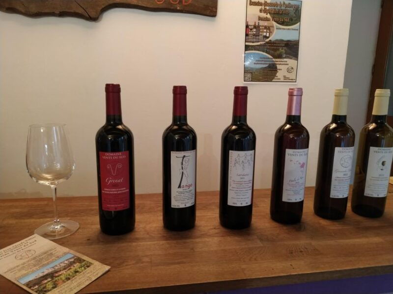 vingrau-wine-tasting