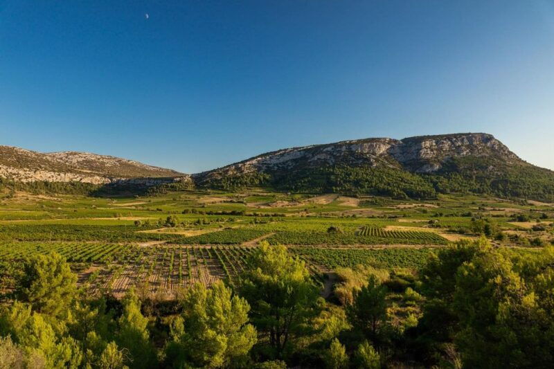 vingrau-wine-tasting