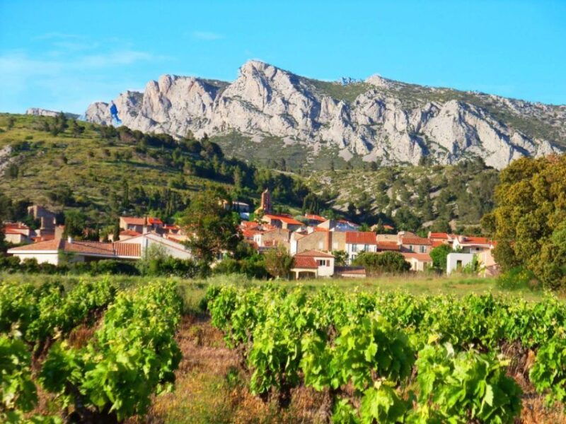 vingrau-wine-tasting