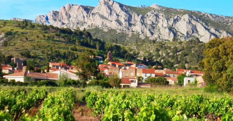 vingrau-wine-tasting