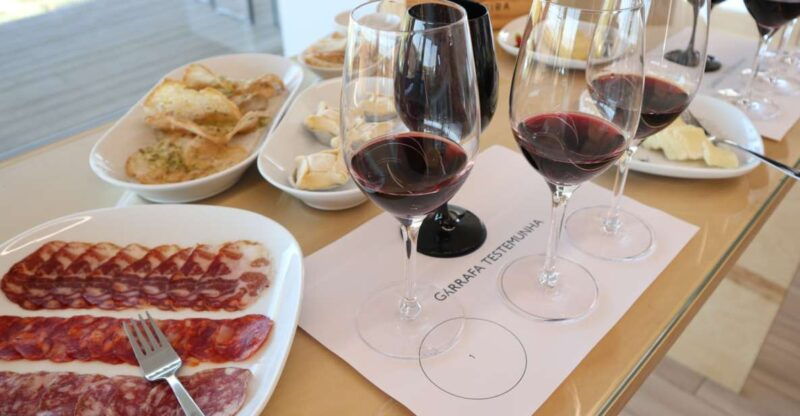 vinha-dervideira-experience