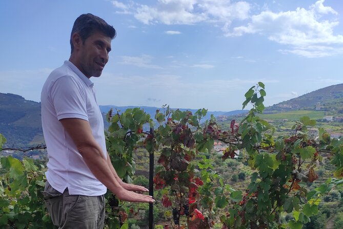 vinho-verde-2-wineries-cultural-guimaraes-private-from-porto