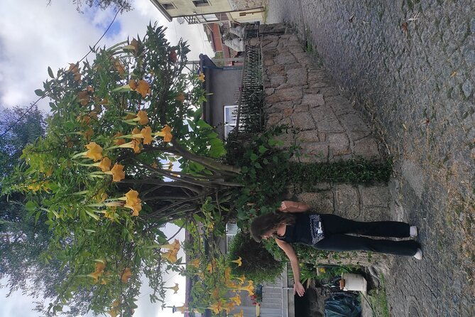 vinho-verde-2-wineries-cultural-guimaraes-private-from-porto