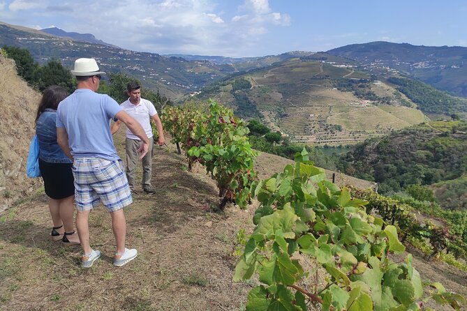 vinho-verde-experience-private-exclusive