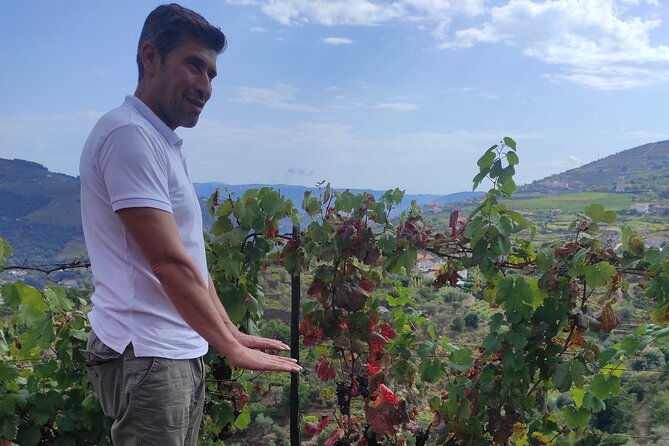 vinho-verde-experience-private-exclusive