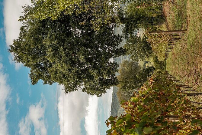 vinho-verde-experience-private-exclusive